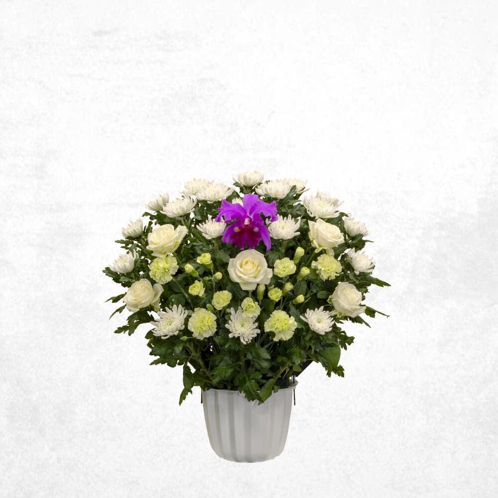 ミックスグリーン 15000