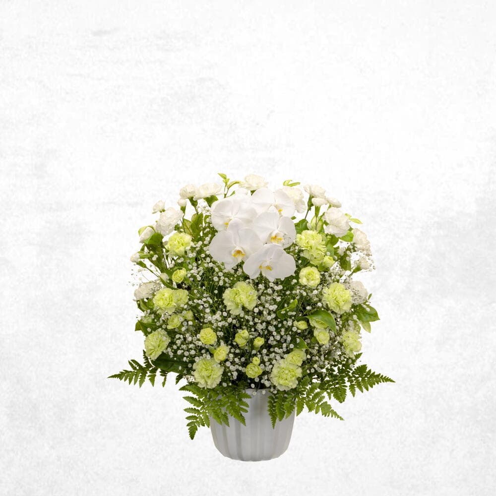 洋花グリーン 15000