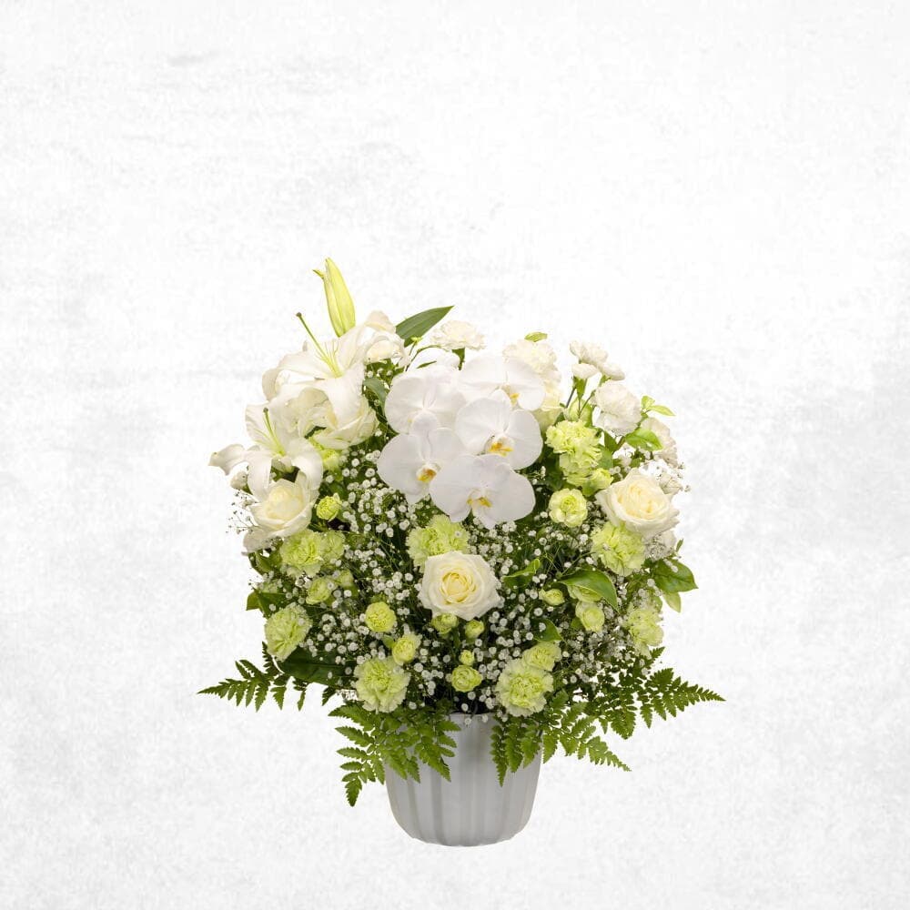 洋花グリーン 20000