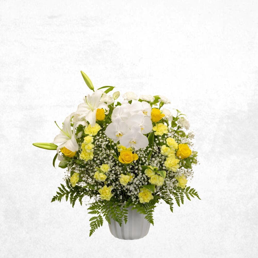 洋花イエロー 20000