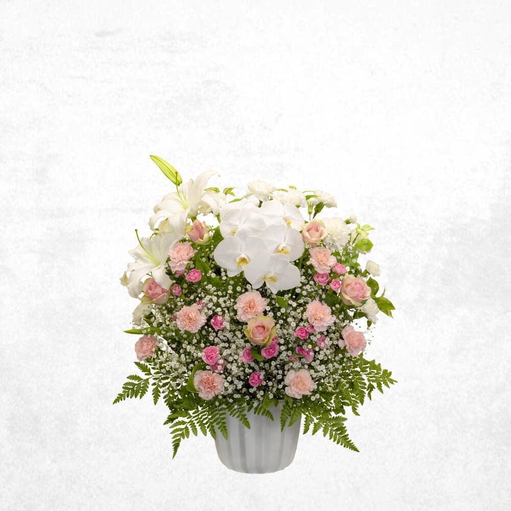 洋花ピンク 20000