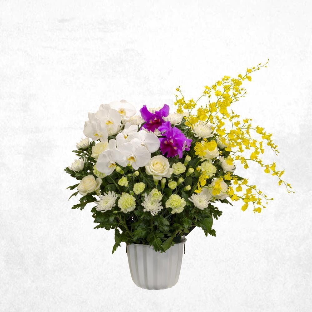 ミックスグリーン 30000