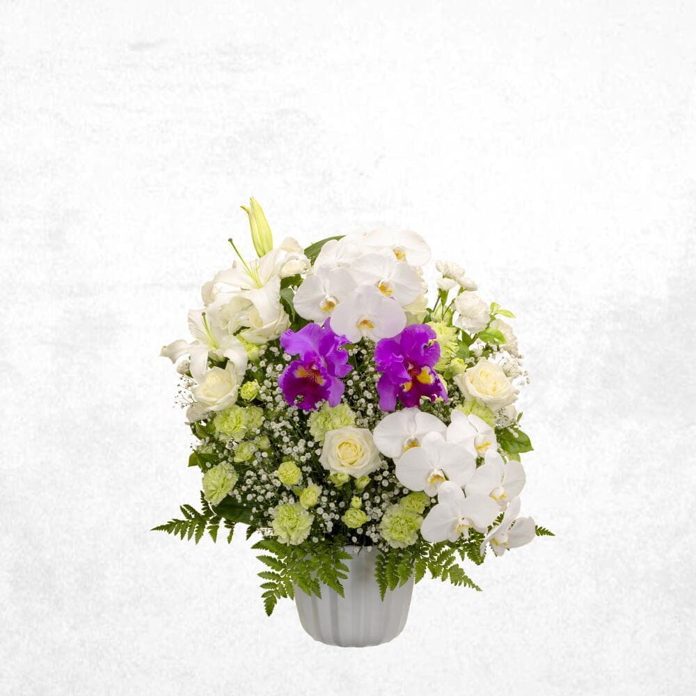 洋花グリーン 30000