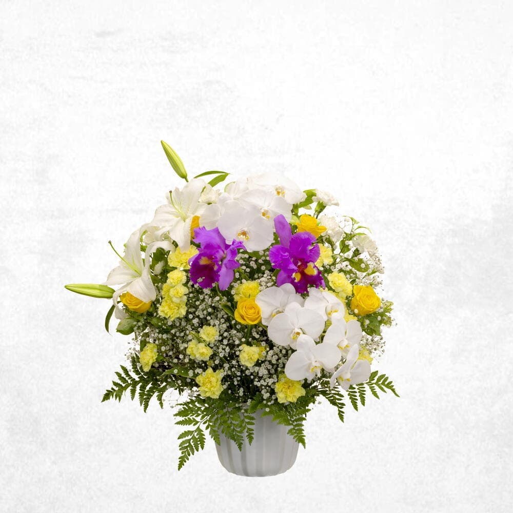 洋花イエロー 30000