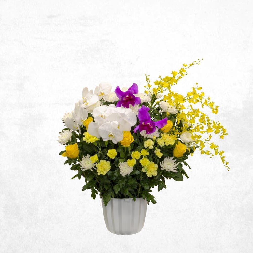 ミックスイエロー 30000