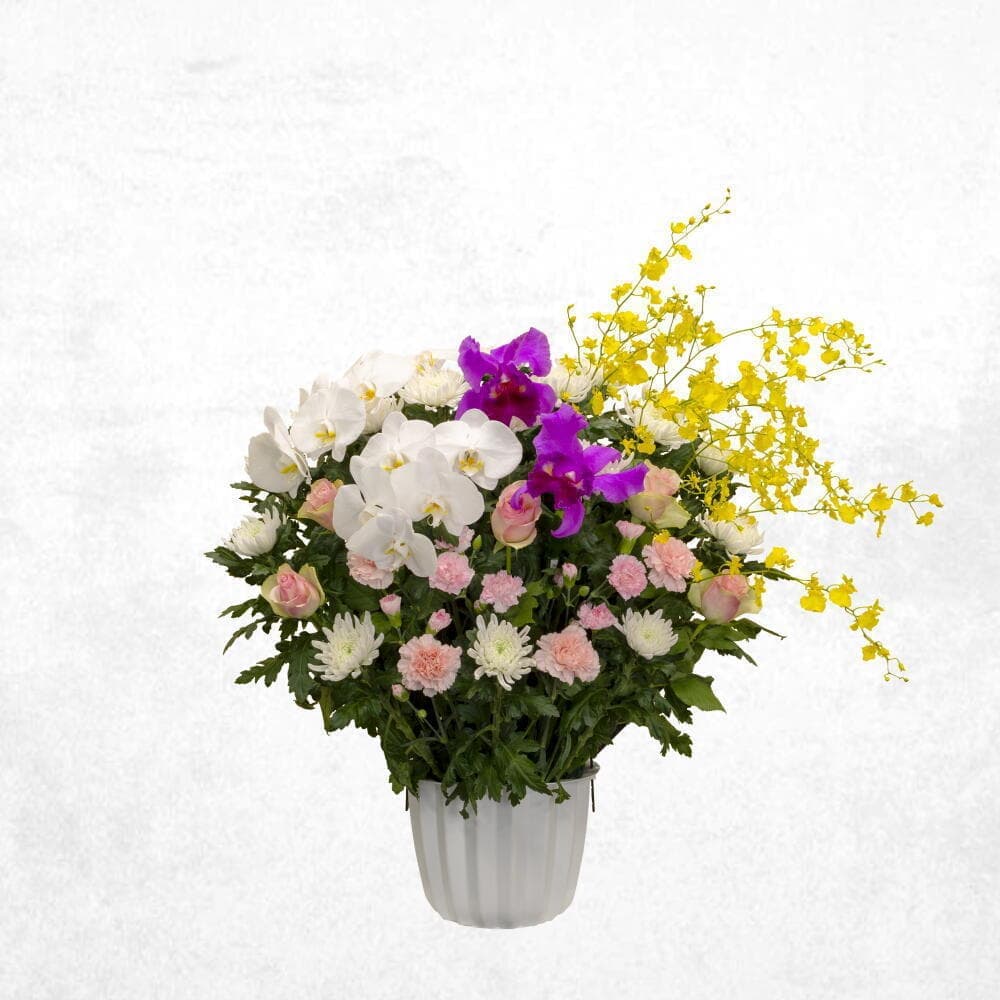 ミックスピンク 30000