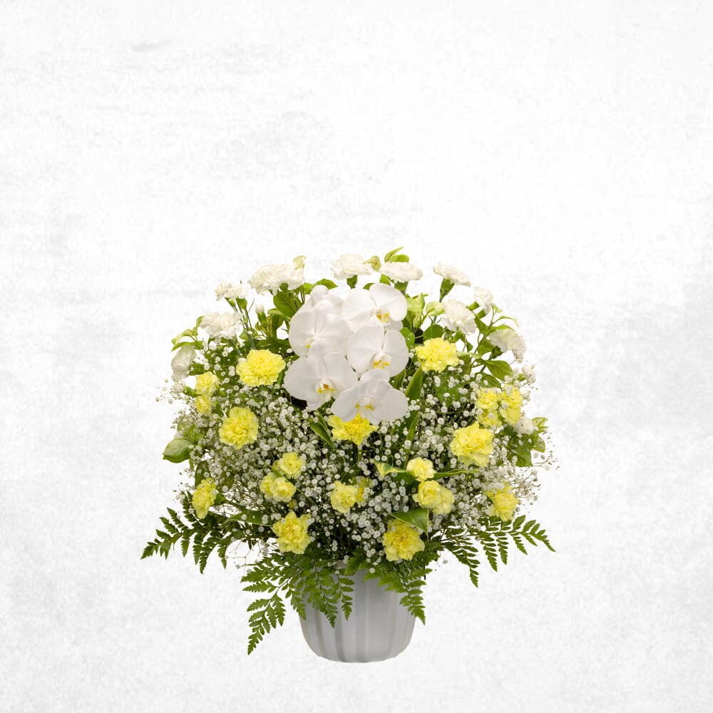 洋花イエロー 15000
