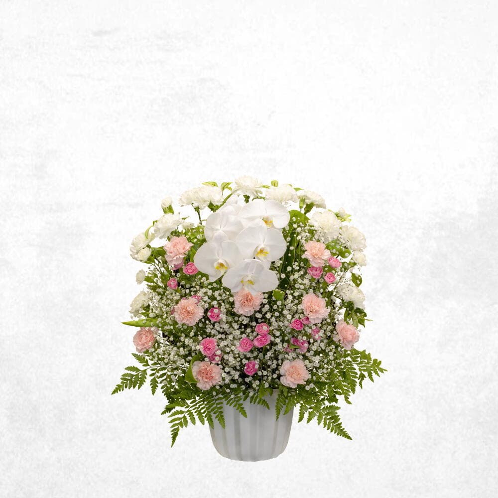 洋花ピンク 15000