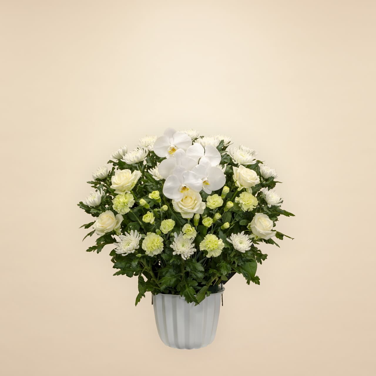 ミックスグリーン 15000