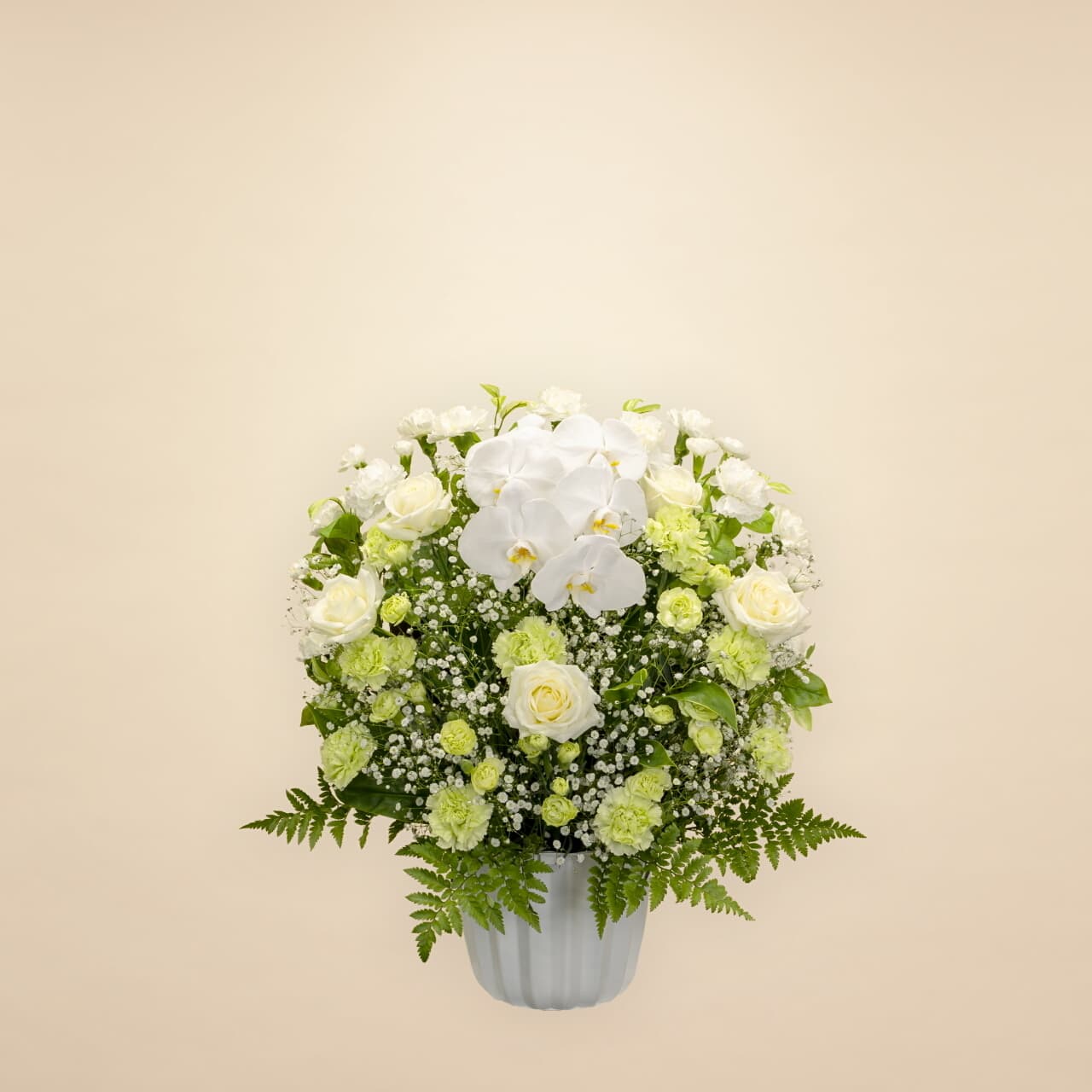 洋花グリーン 15000