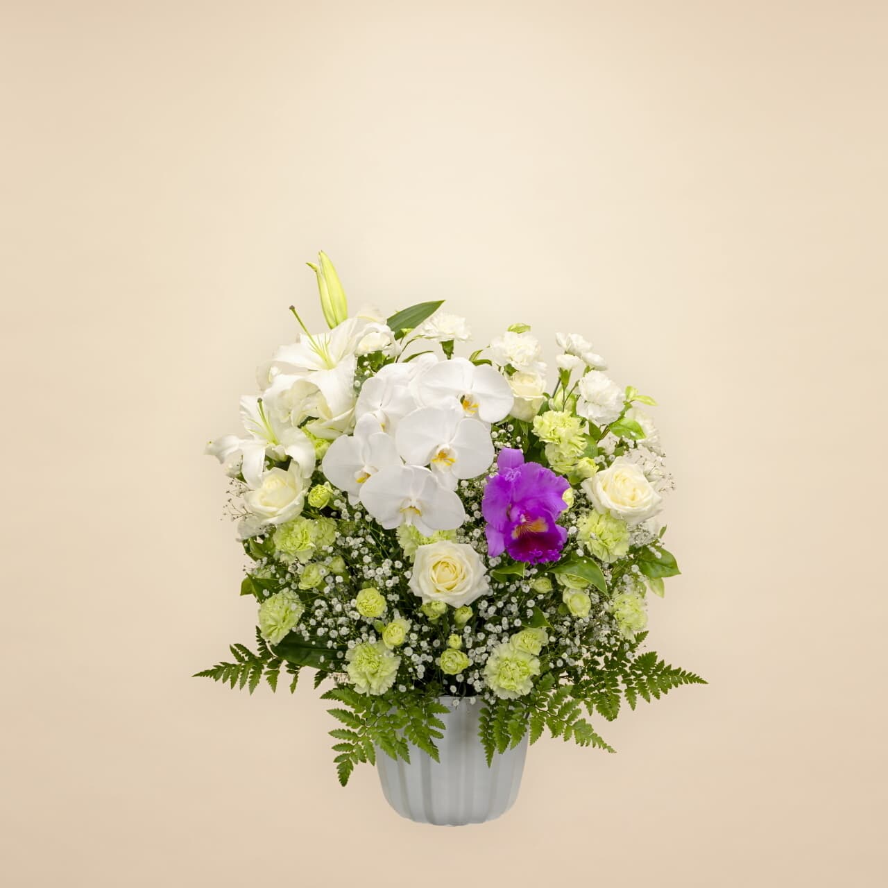 洋花グリーン 20000