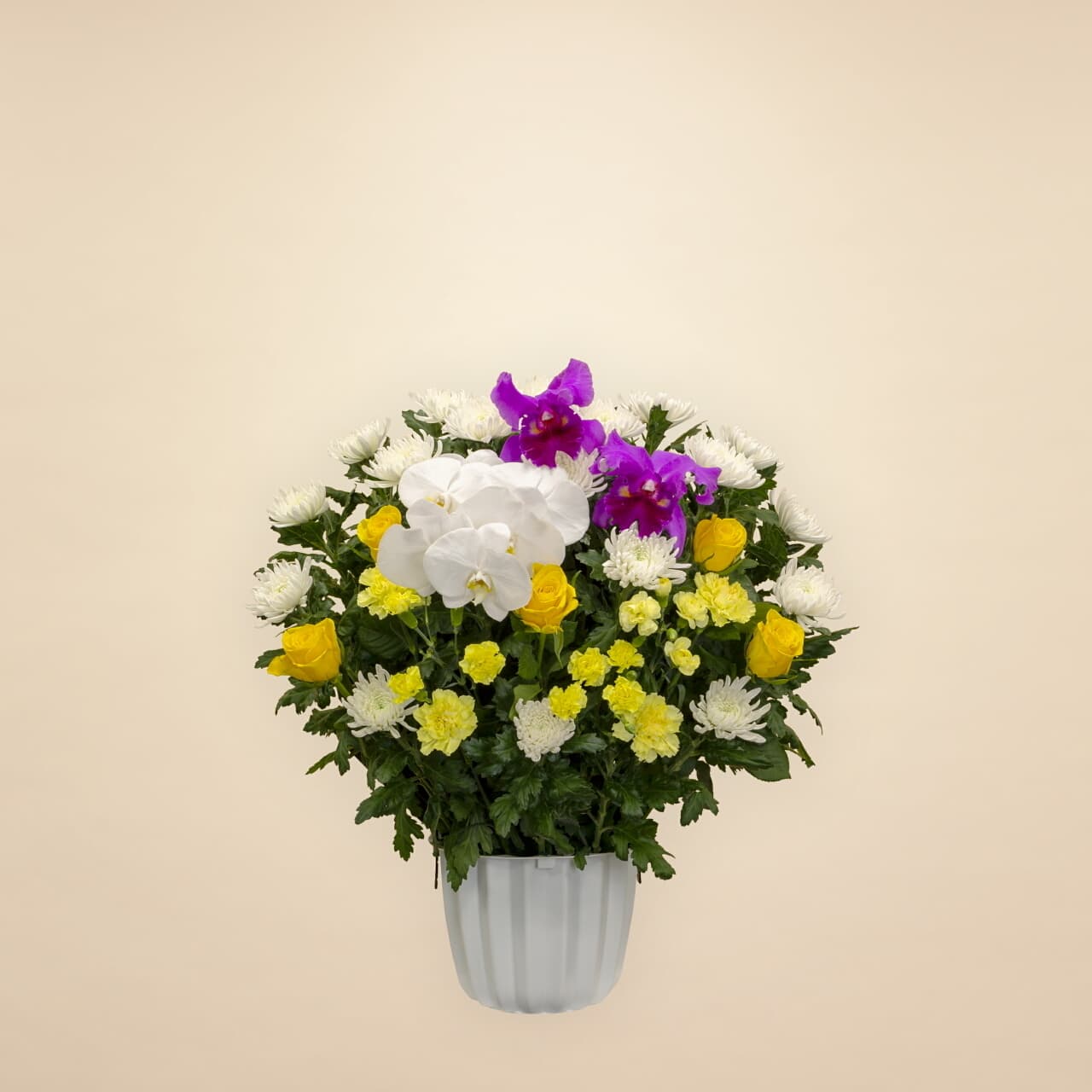 ミックスイエロー 20000