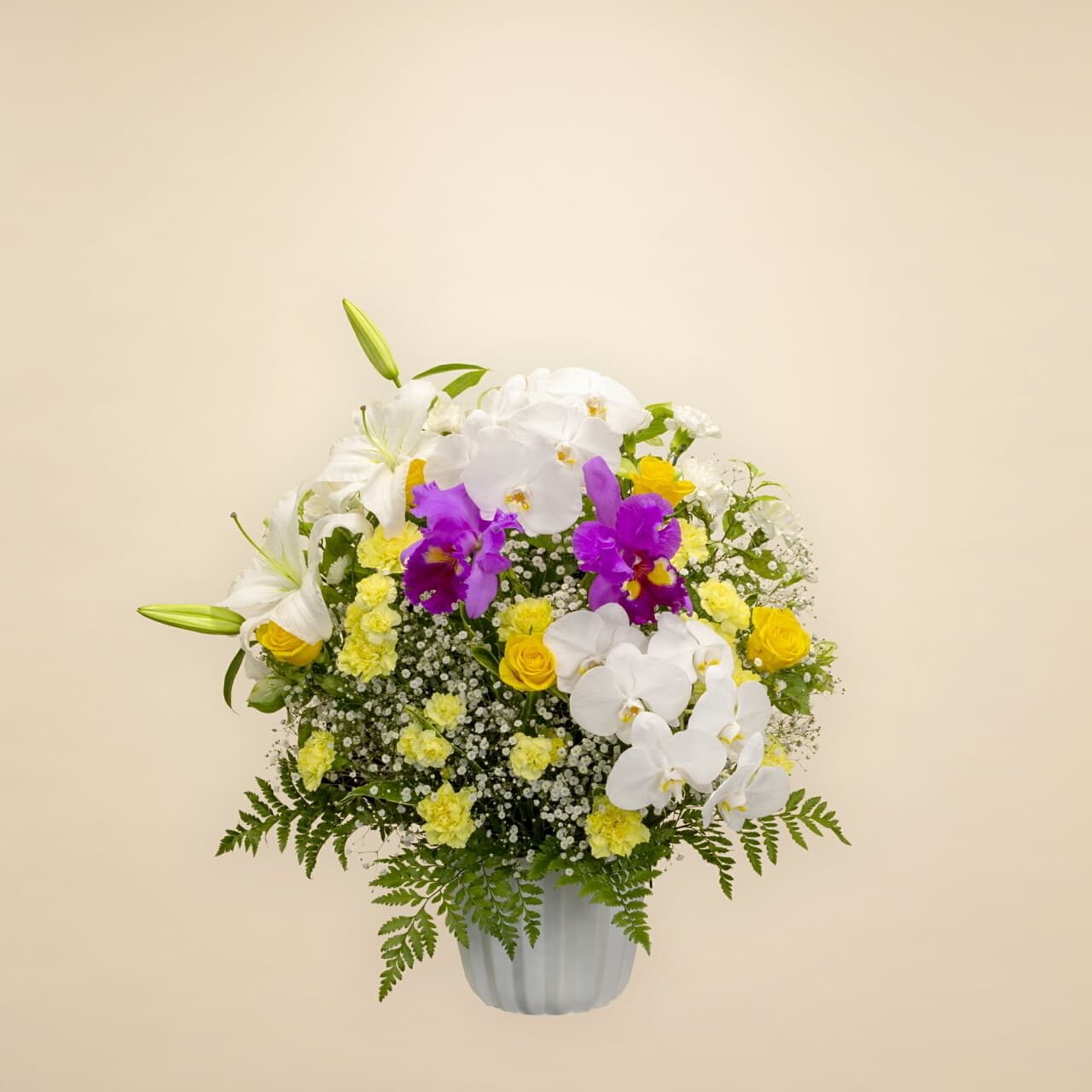 洋花イエロー 30000