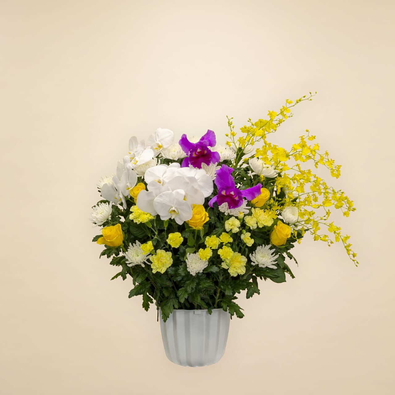 ミックスイエロー 30000